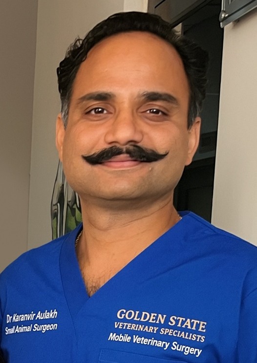 Dr. Karanvir Aulakh - Board-Certified Small Animal Surgeon